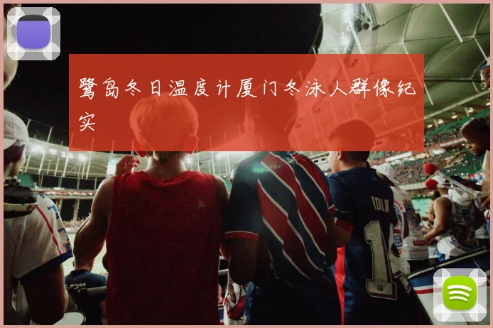鹭岛冬日温度计厦门冬泳人群像纪实