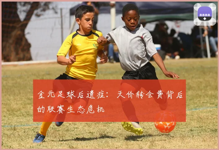 金元足球后遗症：天价转会费背后的联赛生态危机