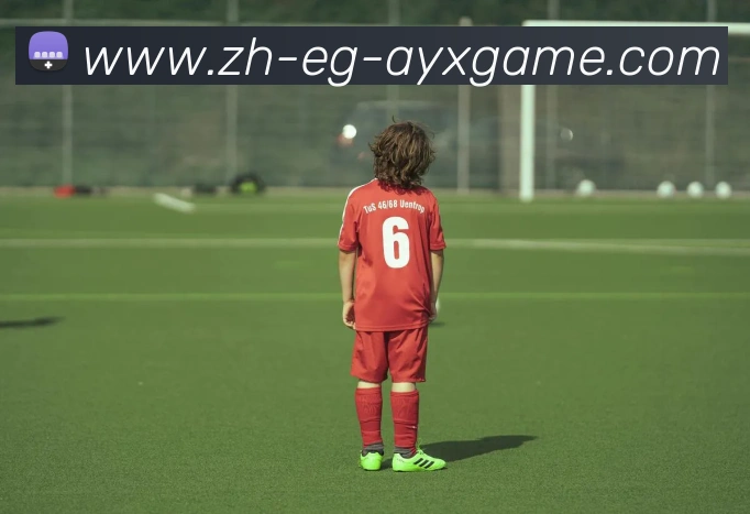 爱游戏发展历程